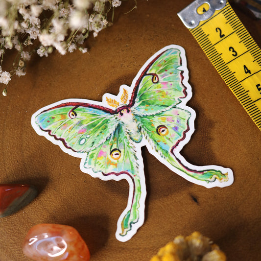 "Luna Moth" Vinyl Sticker