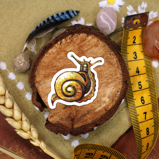 "Snail" Vinyl Sticker
