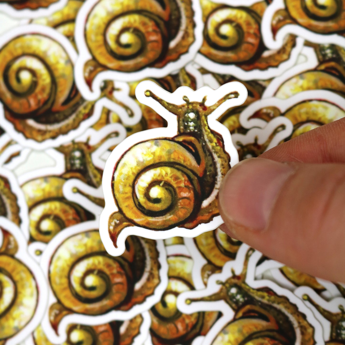 "Snail" Vinyl Sticker